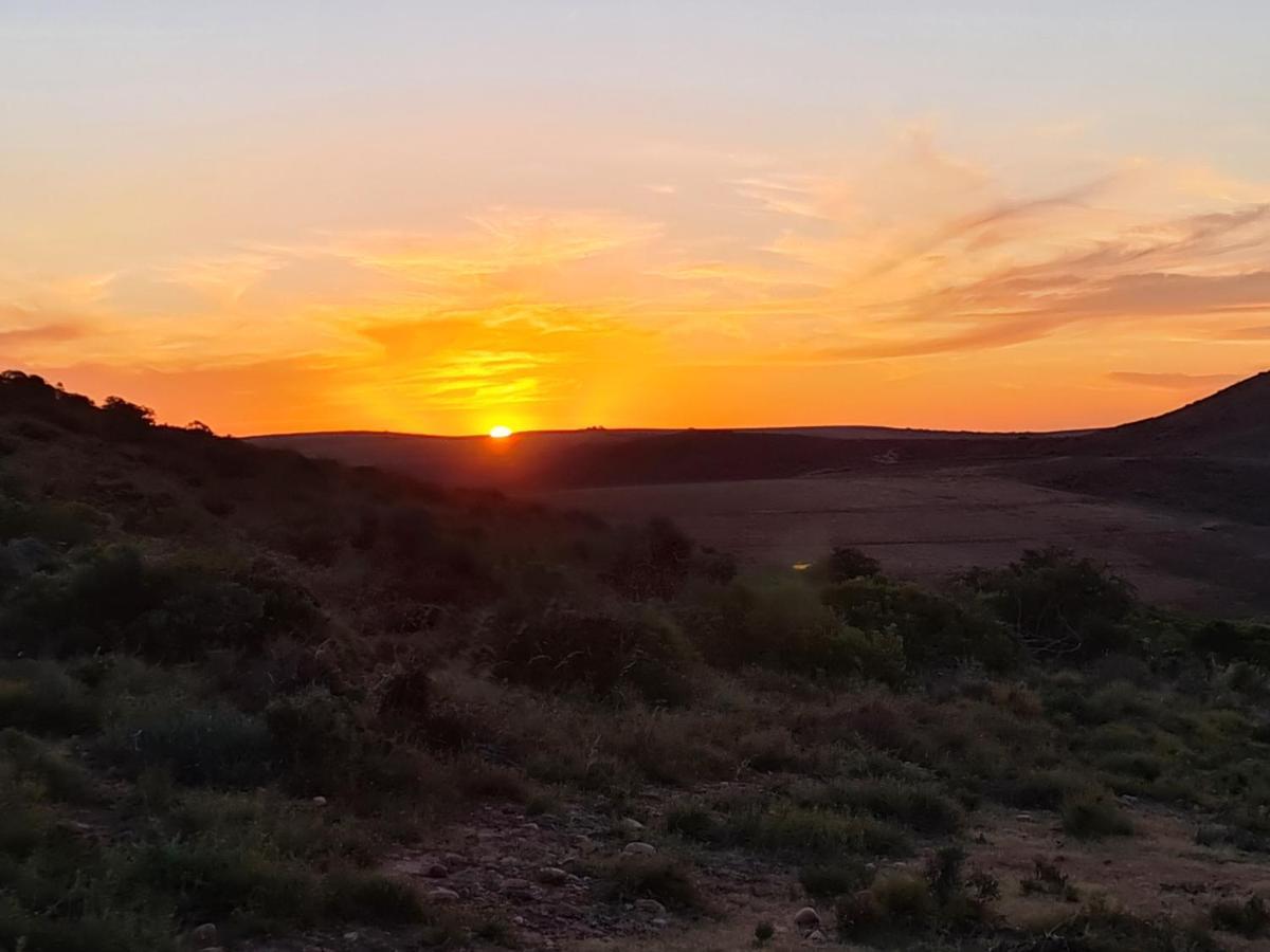 Boggomsbaai Indalu Game Reserve מראה חיצוני תמונה